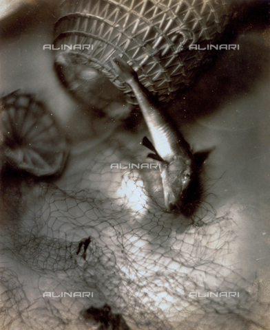 FVQ-F-045725-0000 - Natura morta pittorialista con pesci e reti - Data dello scatto: 1934 - Archivi Alinari, Firenze