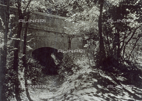 FVQ-F-045736-0000 - Piccolo ponte in muratura su un ruscello in secca, immerso nella vegetazione di un bosco - Data dello scatto: 1920 - 1930 ca. - Archivi Alinari, Firenze