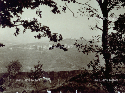 FVQ-F-045737-0000 - Un paese in collina è ripreso a distanza, inquadrato dai rami di due alberi - Data dello scatto: 1920 - 1930 ca. - Archivi Alinari, Firenze