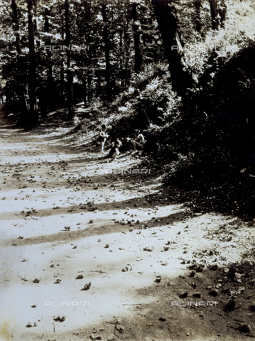 FVQ-F-045739-0000 - Gioco d'ombre in una soleggiata strada di bosco. Sono fotografati i tre figli di Giulio Parisio - Data dello scatto: 193-1935 ca. - Archivi Alinari, Firenze