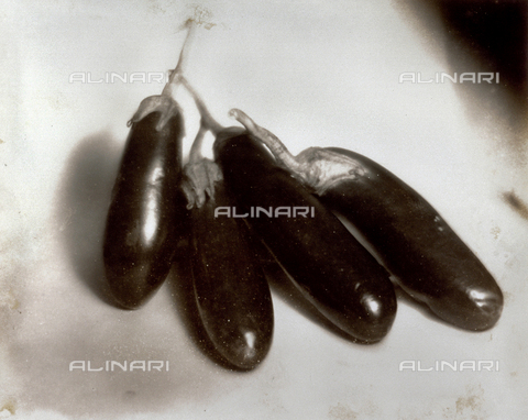 FVQ-F-045752-0000 - Natura morta con melanzane - Data dello scatto: 1934 - Archivi Alinari, Firenze