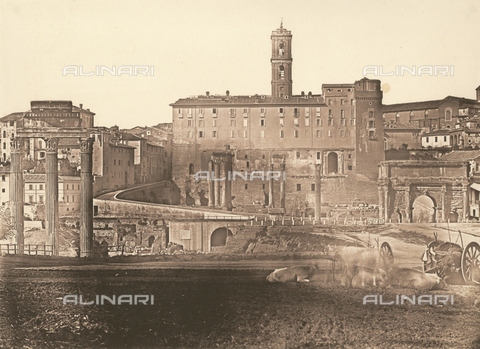 FVQ-F-046083-0000 - Foro Romano, Campo Vaccino - Data dello scatto: 1852 ca. - Archivi Alinari, Firenze