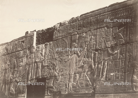 FVQ-F-121106-0000 - Particolare di un bassorilievo in un tempio di Karnak, in Egitto - Data dello scatto: 1870 - 1880 - Archivi Alinari, Firenze