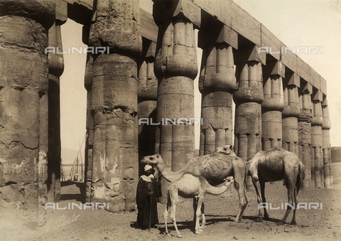 FVQ-F-121108-0000 - Cammelliere davanti ad un colonnato del cortile delle feste di Amenofi III nel Tempio di Luxor, Egitto - Data dello scatto: 1870 - 1880 - Archivi Alinari, Firenze