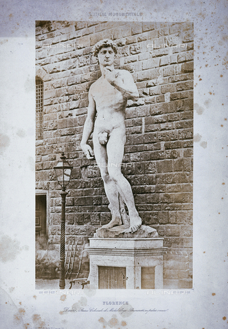 FVQ-F-134622-0000 - The David of Michelangelo - Date of photography: 1851 ca. - Alinari Archives, Florence