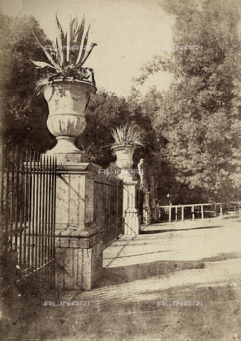 FVQ-F-141082-0000 - Un viale del parco di Villa Borghese a Roma - Data dello scatto: 1852 - 1854 - Archivi Alinari, Firenze