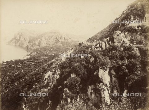 FVQ-F-159735-0000 - Veduta di Capri - Data dello scatto: 1870-1880 - Archivi Alinari, Firenze