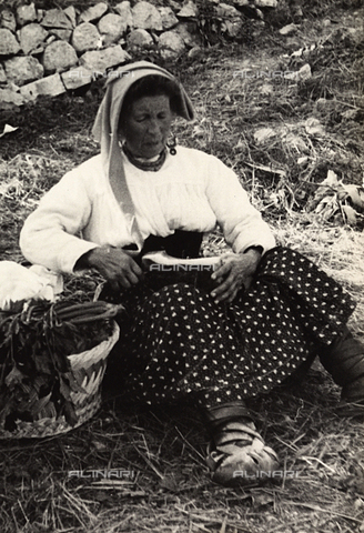 FVQ-F-169951-0000 - Donna ciociara di Alatri - Data dello scatto: 1936 - Archivi Alinari, Firenze