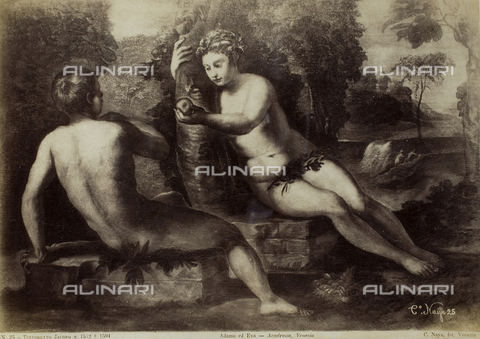 FVQ-F-221443-0000 - Adamo ed Eva, olio su tela, Jacopo Robusti detto il Tintoretto (1519-1594), Gallerie dell'Accademia, Venezia - Data dello scatto: 1865-1875 - Archivi Alinari, Firenze