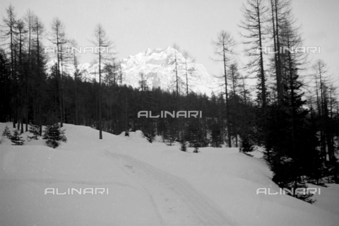 GBA-S-000178-0022 - Paesaggio di montagna innevato, Cortina d'Ampezzo - Data dello scatto: 06/02-27/02/1941 - Archivi Alinari, Firenze