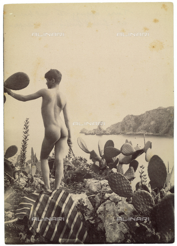 GWA-F-000921-0000 - "Turi appoggiato col braccio al fico d'india", nudo maschile - Data dello scatto: 1875-1885 ca. - Archivi Alinari, Firenze