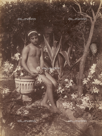 GWA-F-000946-0000 - Amelio - Nudo maschile - Data dello scatto: 1900 ca. - Archivi Alinari, Firenze