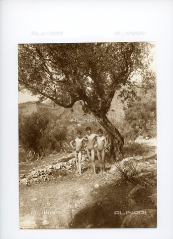 GWA-F-000960-0000 - Three young people in front of a tree - Date of photography: 1880-1895 ca. - Alinari Archives, Florence