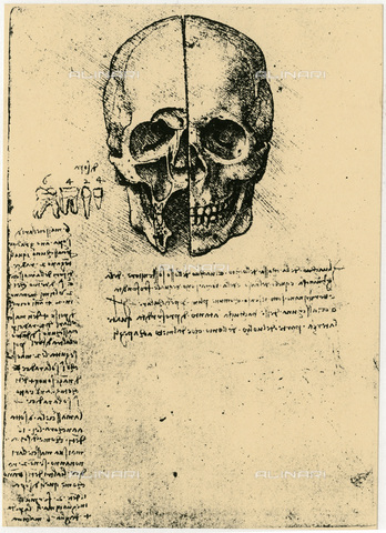 HIP-S-000115-5850 - Anatomical study of a human skull, drawing, Leonardo da Vinci (1452-1519) - Ann Ronan Picture Library / Heritage Images /Alinari Archives, Florence