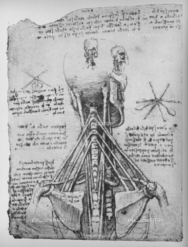 HIP-S-000264-7666 - Anatomical studies on the neck and shoulder musculature (RL 19075v), drawing by Leonardo da Vinci (1452-1519) preserved in the Royal Library of Windsor Castle, from "The Drawings of Leonardo da Vinci" (New York, 1945) - The Print Collector / Heritage Images /Alinari Archives, Florence