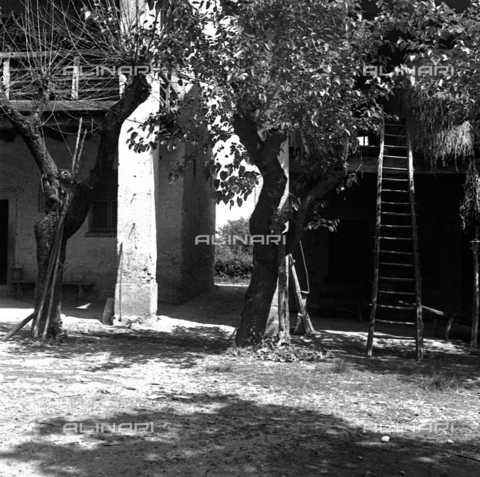 LAA-F-000265-0000 - Scorcio del cortile di un edificio rurale situato nella campagna lombarda - Data dello scatto: 1942 -1950 ca. - Archivi Alinari, Firenze