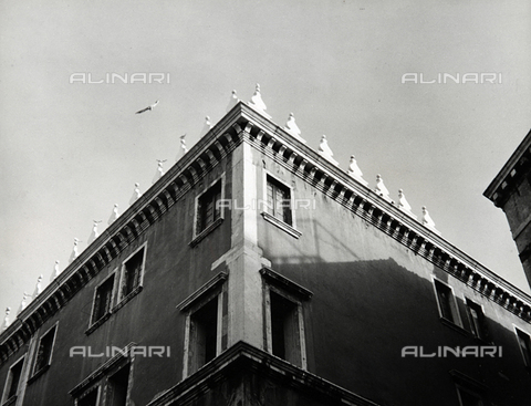 LFA-F-000185-0000 - "Seagulls" Detail of a building, Venice - Date of photography: 1950 ca. - Alinari Archives, Florence