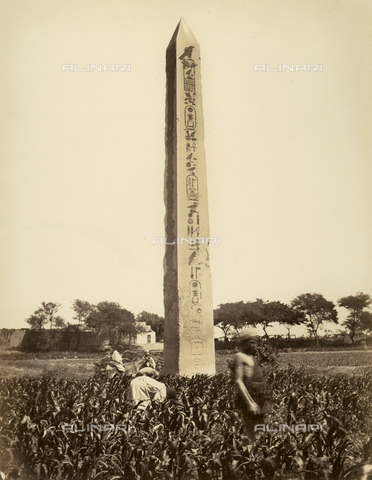 MFC-A-004677-0025 - Veduta dell'obelisco di Sesosti I, nell'antica città di Eliopoli, in Egitto - Data dello scatto: 1870-1880 ca. - Archivi Alinari, Firenze