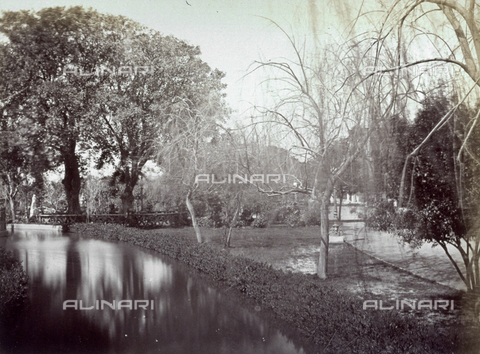 MFC-A-004677-0039 - Pittoresco angolo dei giardini di Gezira al Cairo - Data dello scatto: 1870-1880 ca. - Archivi Alinari, Firenze