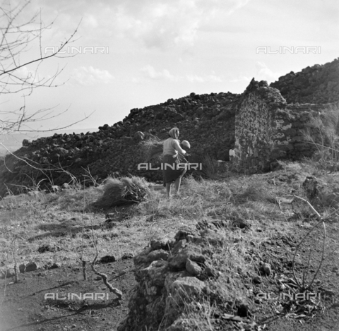 MFV-S-ET0303-0030 - Boscaiola durante l'eruzione dell'Etna nel novembre del 1950 - Data dello scatto: 11/1950 - Foto di Fosco Maraini/Proprietà Gabinetto Vieusseux © Archivi Alinari