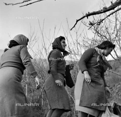 MFV-S-ET0303-0031 - Persone durante l'eruzione dell'Etna nel novembre del 1950 - Data dello scatto: 11/1950 - Foto di Fosco Maraini/Proprietà Gabinetto Vieusseux © Archivi Alinari