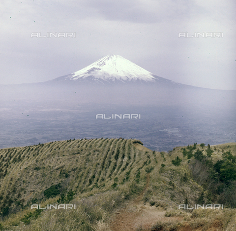 MFV-S-JPN037-0009 - Il monte Fuji con la cima innevata - Data dello scatto: 03/04/1963 - Foto di Fosco Maraini/Proprietà Gabinetto Vieusseux © Archivi Alinari