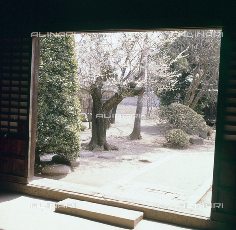 MFV-S-JPN040-0009 - Giardino del tempio Erin-ji a Kofu - Data dello scatto: 1963 - Foto di Fosco Maraini/Proprietà Gabinetto Vieusseux © Archivi Alinari