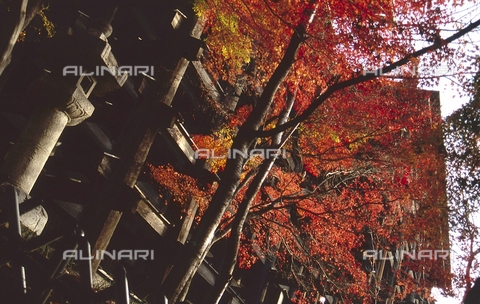 MFV-S-JPN369-0090 - Tempio di Kiyomizu-dera ("Il tempio dell'acqua pura"), particolare, Kyoto - Data dello scatto: 11/1987 - Foto di Fosco Maraini/Proprietà Gabinetto Vieusseux © Archivi Alinari