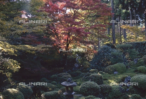 MFV-S-JPN369-0120 - Tempio di Sanzen-in, particolare del giardino, Ohara, Kyoto - Data dello scatto: 1963-1991 - Foto di Fosco Maraini/Proprietà Gabinetto Vieusseux © Archivi Alinari