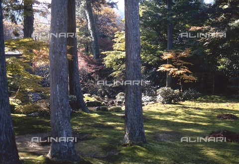 MFV-S-JPN369-0122 - Tempio di Sanzen-in, particolare del giardino, Ohara, Kyoto - Data dello scatto: 1963-1991 - Foto di Fosco Maraini/Proprietà Gabinetto Vieusseux © Archivi Alinari