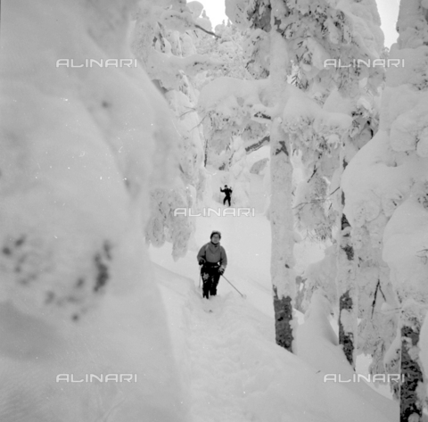 MFV-S-V00133-0054 - Passeggiata nella neve in Hokkaido - Data dello scatto: 1953-1955 - Foto di Fosco Maraini/Proprietà Gabinetto Vieusseux © Archivi Alinari