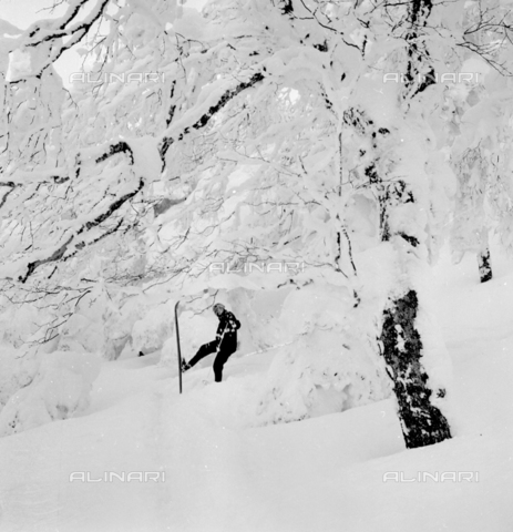 MFV-S-V00133-0287 - A sciare in Hokkaido - Data dello scatto: 1953-1955 - Foto di Fosco Maraini/Proprietà Gabinetto Vieusseux © Archivi Alinari