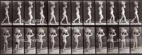 PDC-A-004694-0033 - "Animal Locomotion" (tav. 33): sequenza con nudo di donna che porta una cesta - Data dello scatto: 1887 - Archivi Alinari, Firenze