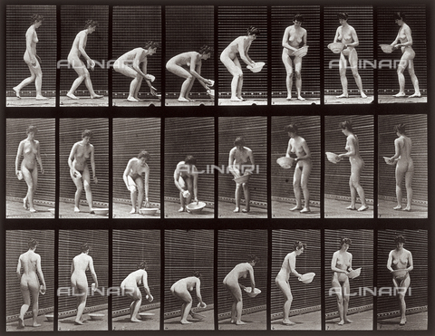 PDC-A-004694-0223 - "Animal Locomotion" (tav. 223): sequenza di donna nuda che prende una catino - Data dello scatto: 1887 - Archivi Alinari, Firenze