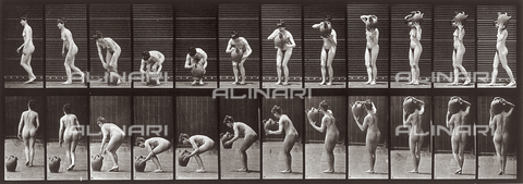 PDC-A-004694-0225 - "Animal Locomotion" (tav. 225): sequenza di donna nuda che prende una brocca - Data dello scatto: 1887 - Archivi Alinari, Firenze