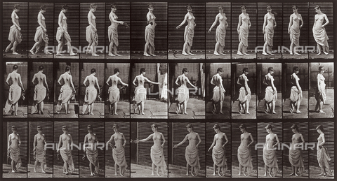 PDC-A-004695-0053 - "Animal Locomotion" (tav. 53): sequenza di donna che lancia un ramoscello di foglie camminando - Data dello scatto: 1887 - Archivi Alinari, Firenze