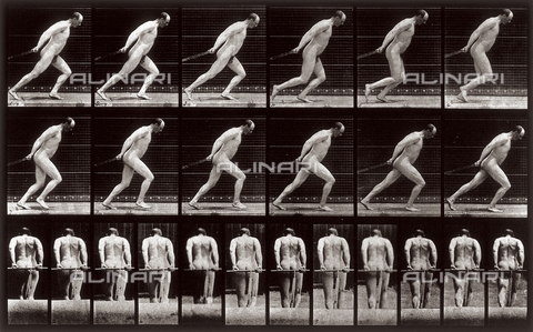 PDC-A-004695-0392 - "Animal Locomotion" (tav. 392): sequenza con un uomo nudo che trascina un oggetto non visibile - Data dello scatto: 1887 - Archivi Alinari, Firenze