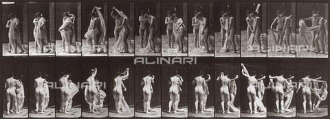 PDC-A-004695-0428 - "Animal Locomotion" (tav. 428): sequenza con due ragazze nude che muovono un panneggio - Data dello scatto: 1887 - Archivi Alinari, Firenze