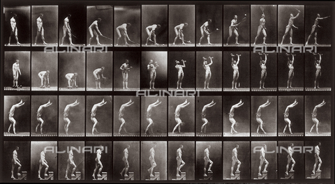 PDC-A-004695-0488 - "Animal Locomotion" (tav. 488): sequenza con un uomo nudo che gioca con la racchetta da tennis, solleva pesi, cammina sulle mani e sale le scale - Data dello scatto: 1887 - Archivi Alinari, Firenze