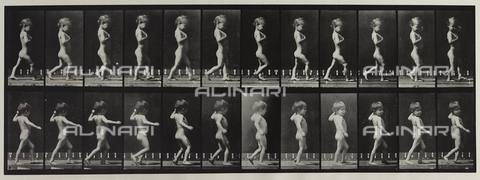 PDC-A-004695-0540 - "Animal Locomotion" (tav. 540): sequenza con bambino nudo che cammina - Data dello scatto: 1887 - Archivi Alinari, Firenze