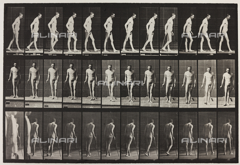 PDC-A-004695-0559 - "Animal Locomotion" (tav. 559): sequenza con un uomo nudo che cammina - Data dello scatto: 1887 - Archivi Alinari, Firenze