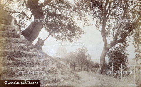 PDC-F-000586-0000 - Sullo sfondo la cupola di San Pietro a Roma; in primo piano uno scorcio della campagna intorno alla città dove si trova la cosiddetta 'Quercia del Tasso'. - Data dello scatto: 1870-1880 - Archivi Alinari, Firenze