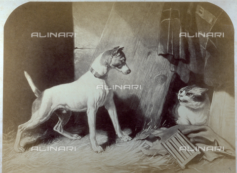 PDC-F-001749-0000 - L'immagine riproduce un'incisione del dipinto di De Drux:'Cane e Gatto' - Data dello scatto: 1855-1875 - Archivi Alinari, Firenze