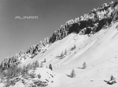 PFA-F-001495-0000 - Paesaggio innevato, Engadina, Canton dei Grigioni, Svizzera - Data dello scatto: 12/1990 - Archivi Alinari, Firenze