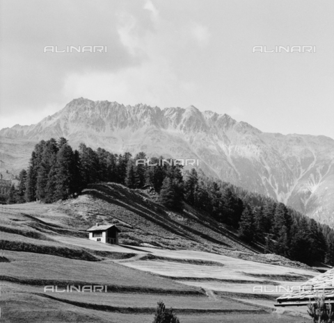 PFA-F-001511-0000 - Paesaggio montano, Engadina, Canton dei Grigioni, Svizzera - Data dello scatto: 07/1991 - Archivi Alinari, Firenze