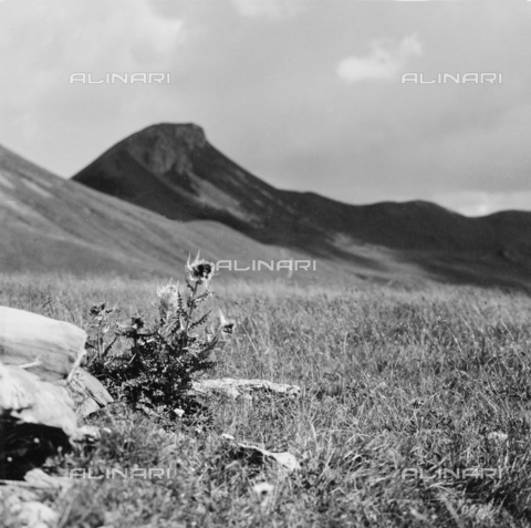 PFA-F-001513-0000 - Paesaggio montano, Engadina, Canton dei Grigioni, Svizzera - Data dello scatto: 08/1991 - Archivi Alinari, Firenze