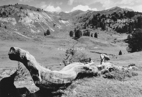 PFA-F-001516-0000 - Paesaggio montuoso, Engadina, Canton dei Grigioni, Svizzera - Data dello scatto: 08/1991 - Archivi Alinari, Firenze