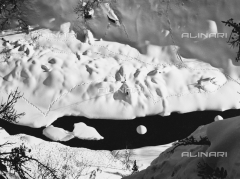 PFA-F-001530-0000 - Paesaggio innevato con impronte, Engadina, Canton dei Grigioni, Svizzera - Data dello scatto: 12/1990 - Archivi Alinari, Firenze