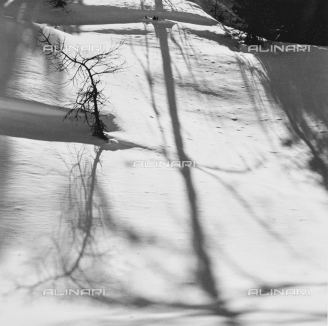 PFA-F-001533-0000 - Paesaggio innevato, Engadina, Canton dei Grigioni, Svizzera - Data dello scatto: 02/1990 - Archivi Alinari, Firenze