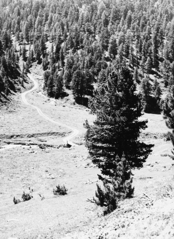 PFA-F-001539-0000 - Paesaggio montano, Engadina, Canton dei Grigioni, Svizzera - Data dello scatto: 05/1990 - Archivi Alinari, Firenze